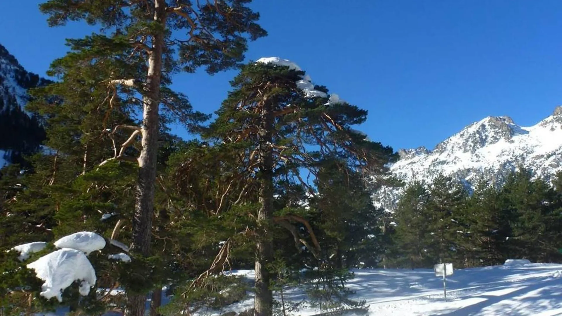 Apartment Appartement 6 Pers, Cuisine Equipee, Pres Telecabine - Fr-1-234-231 Cauterets